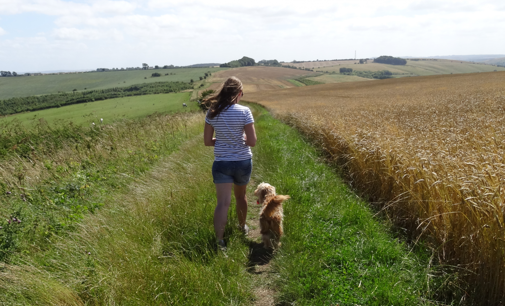 Green open field with lady and dog walking away