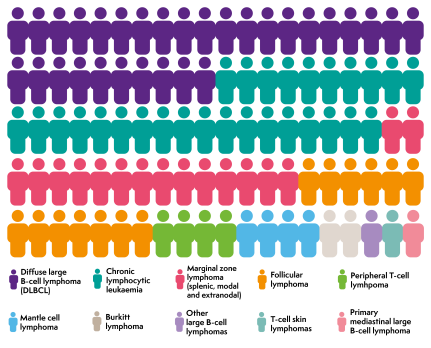 Figure people showing how common the types of non-Hodgkin lymphoma are. The most common is diffuse large B-cell lymphoma, followed by chronic lymphocytic leukaemia.