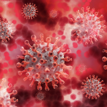 Coronavirus - listing image