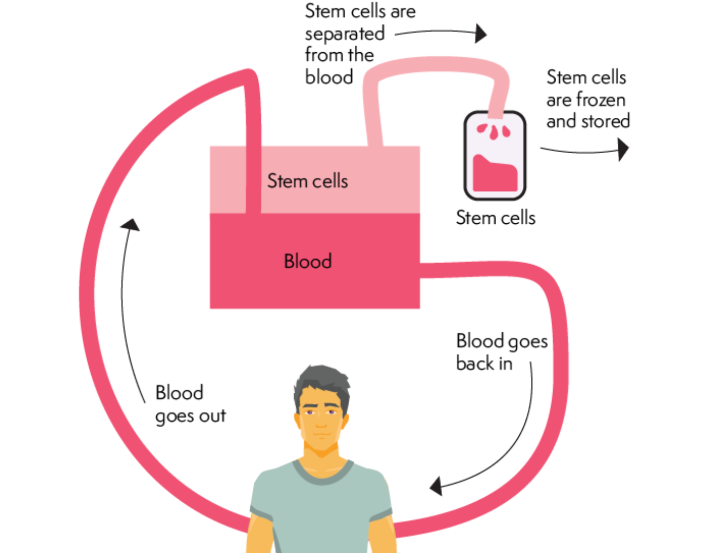 Lymphoma Action | New Information On Stem Cell Transplants