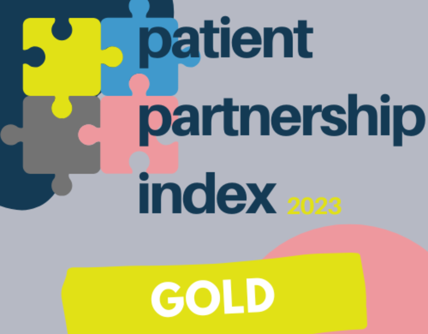 Patient partnership index logo 