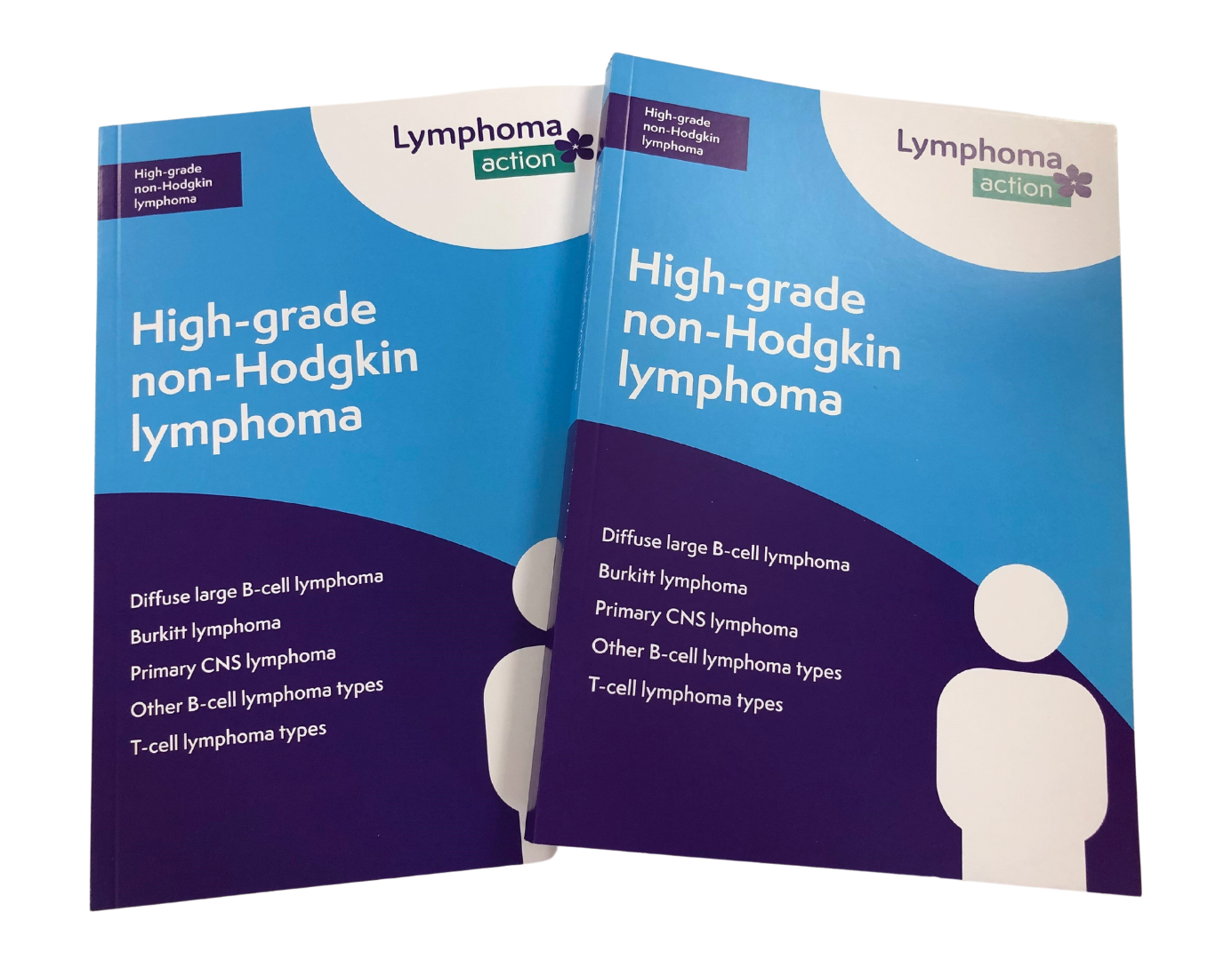 High-grade non-Hodgkin lymphoma book cover HERO