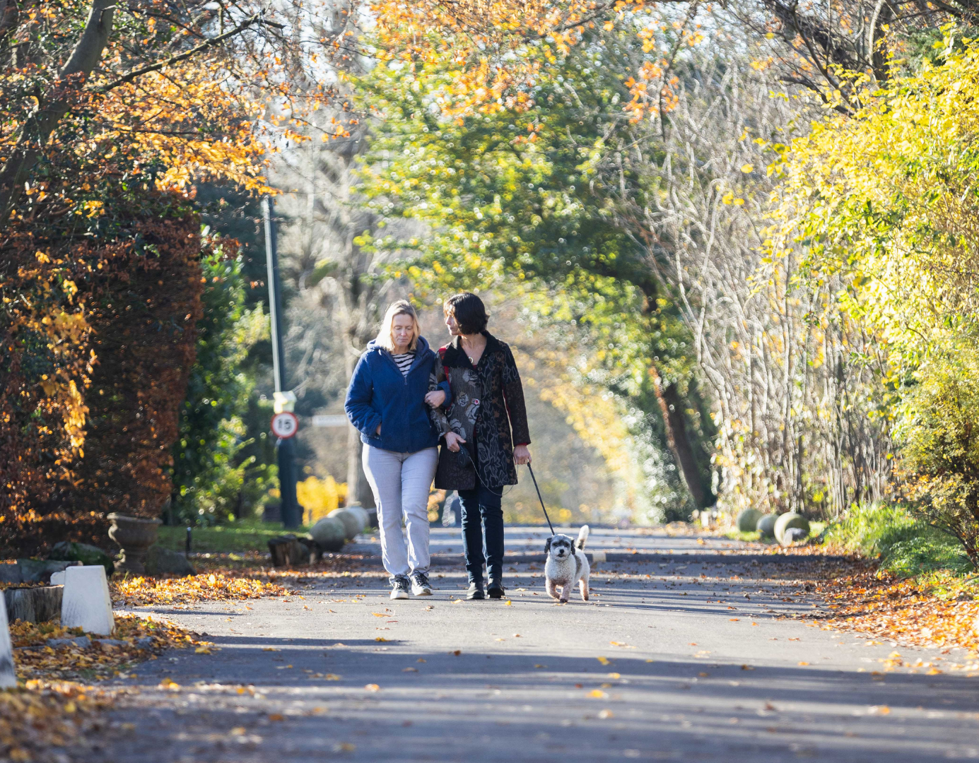 Two ladies walking down road with a dog