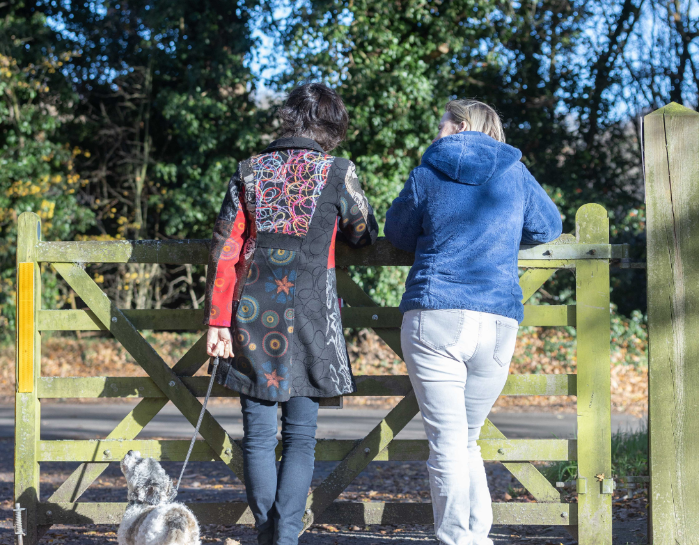Two people facing away leaning over a gate