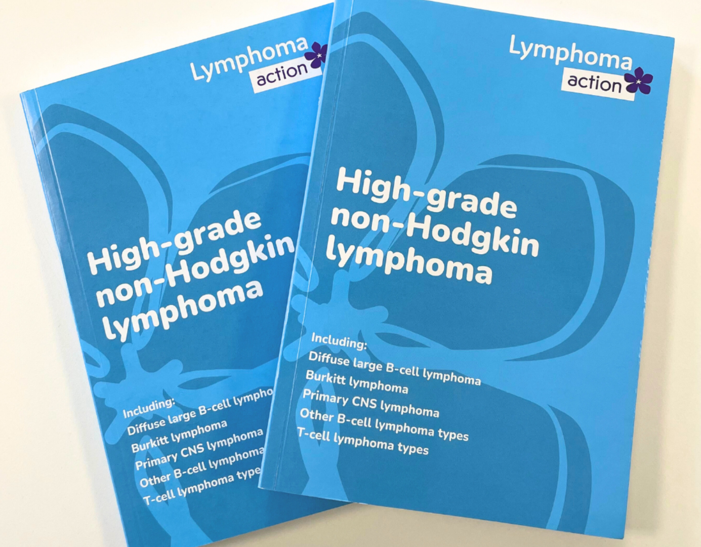 High grade non-Hodgkin lymphoma book