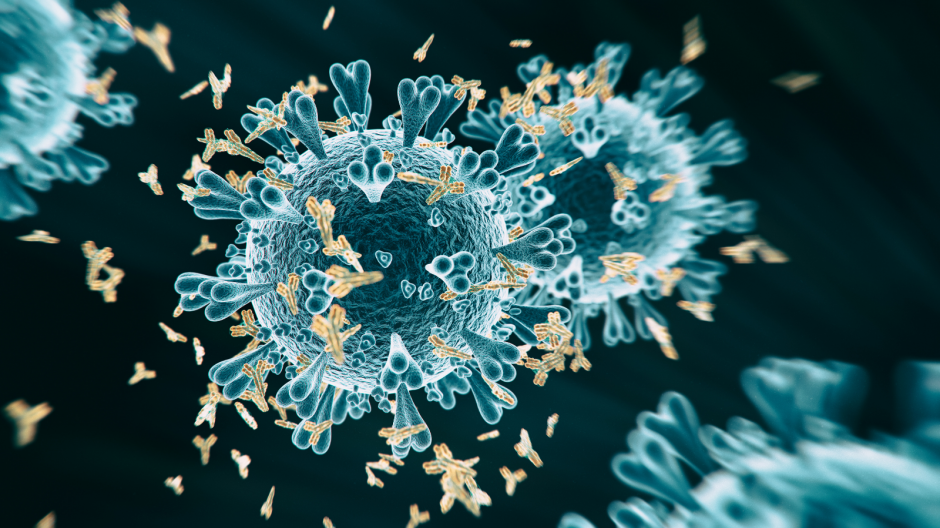 Spiky blue sphere representing a virus, surrounded by yellow Y-shaped antibodies