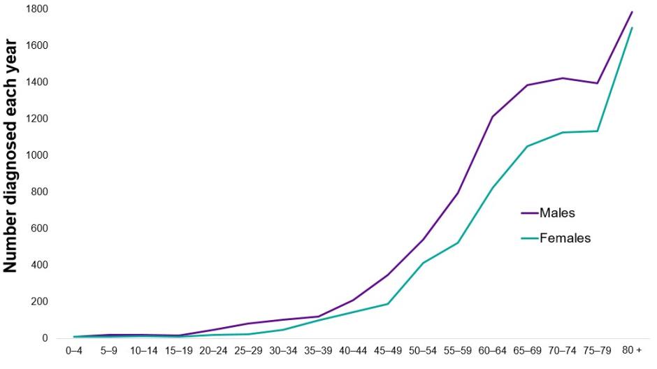 Line graph showing that non-Hodgkin lymphoma is most commonly diagnosed in older people, and is also more common in males than females