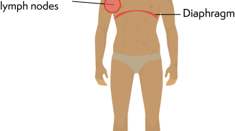 Illustration of a man with labels pointing to the neck, diaphragm, and armpit