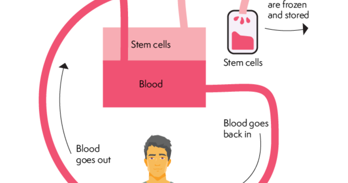 Lymphoma Action | New Information On Stem Cell Transplants