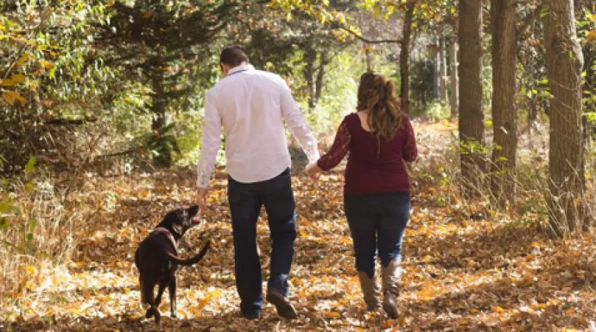 Young couple walking with their dogs in the woods on a sunny autumnal day