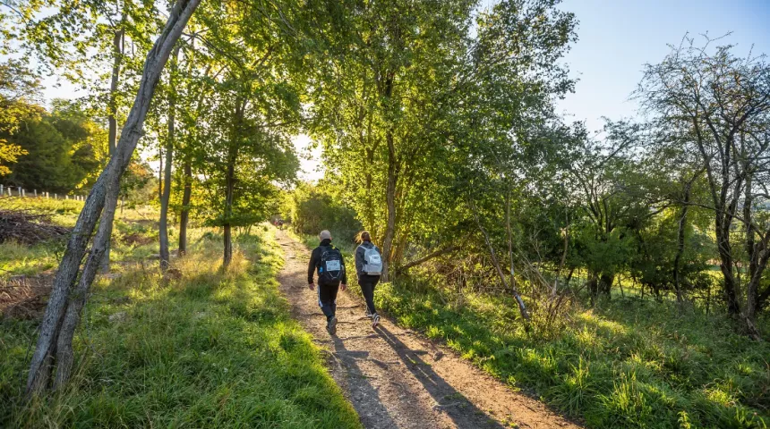 2 walkers walking through woodland in sunshine