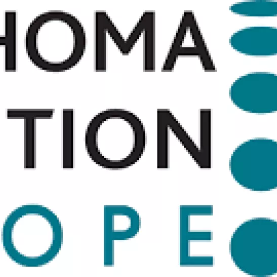Lymphoma Coalition Europe logo