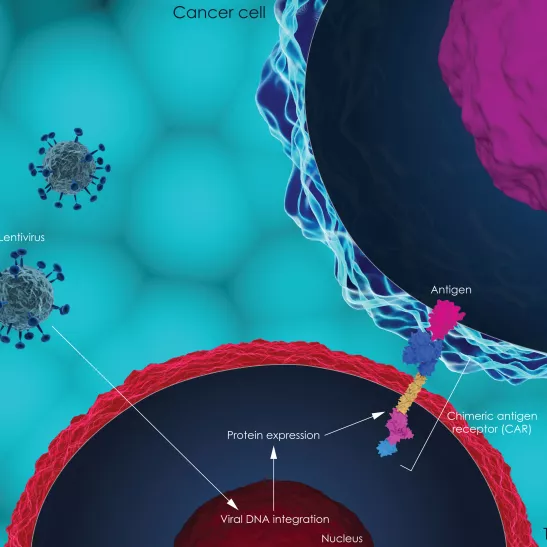 CAR T-cell illustration
