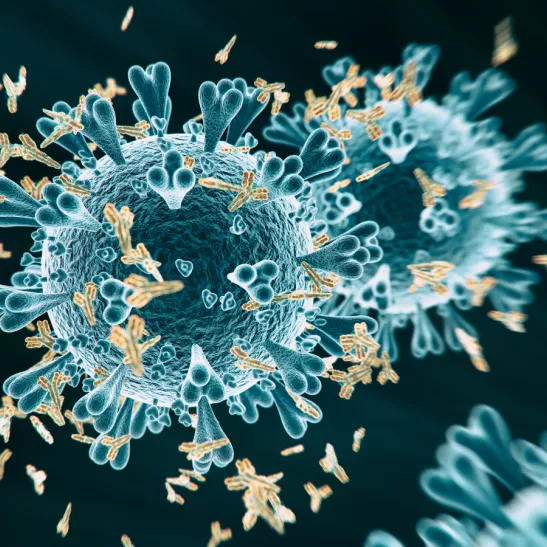 Spiky blue sphere representing a virus, surrounded by yellow Y-shaped antibodies