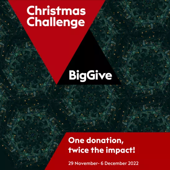Big Give Christmas Challenge 2022