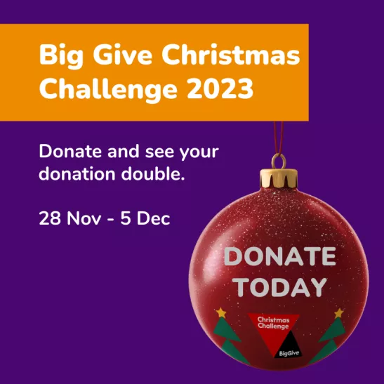 Big Give Christmas Challenge 2023 donate and see your donation double