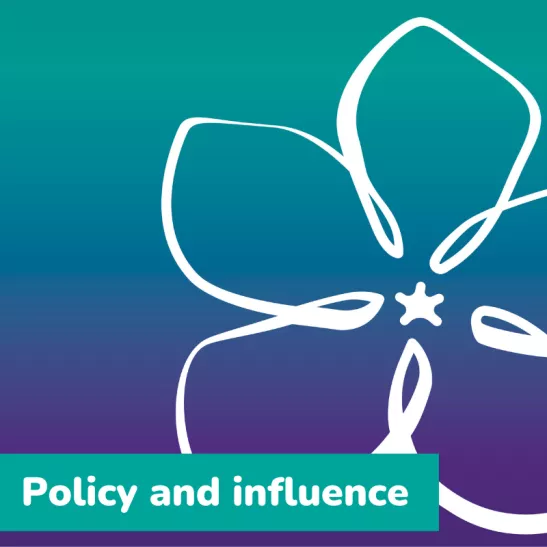 Policy and influence