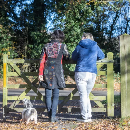 Two people facing away leaning over a gate