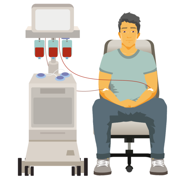 Illustration showing plasmapheresis machine and a person connected to it with two thin tubes, one in each arm