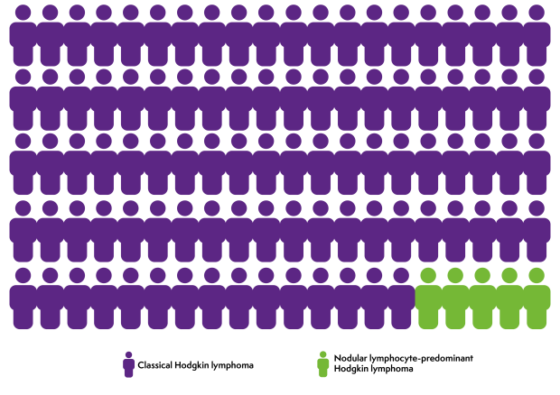 100 figure people. 95 of them are purple to represent that 95% of people diagnosed with Hodgkin lymphoma have classical Hodgkin lymphoma. The remaining 5 are green and represent that 5% of Hodgkin lymphoma diagnoses are NLPHL.