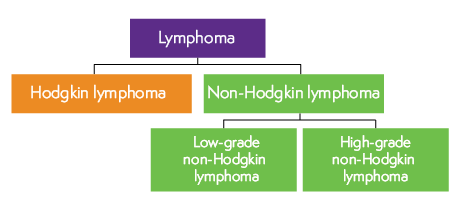 Diagram showing lymphoma can be categorised into Hodgkin lymphoma and non-Hodgkin lymphoma. Non-Hodgkin lymphoma is then further split into low-grade non-Hodgkin lymphoma and high-grade non-Hodgkin lymphoma