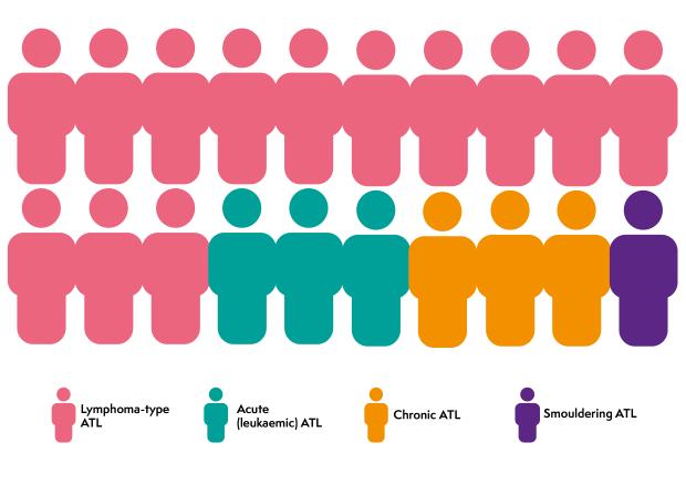 Figure people showing how common the types of adult T-cell lymphoma are, showing lymphoma-type ATL as the most common, followed by acute ATL, chronic ATL and smouldering ATL