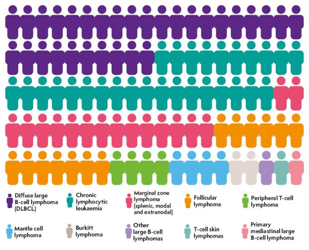 Most common types of non-Hodgkin lymphoma (all age groups)